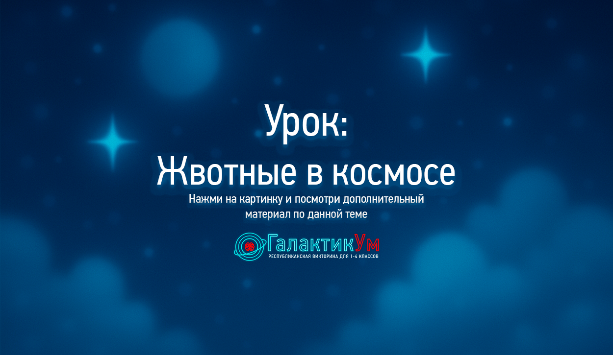 Смотреть мультфильм про животных в космосе