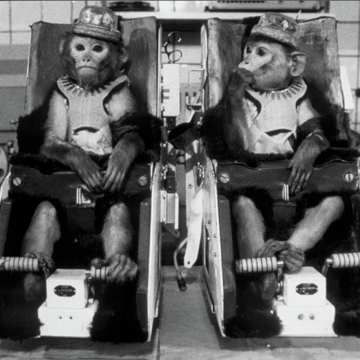 Эйбл и Мисс Бейкер