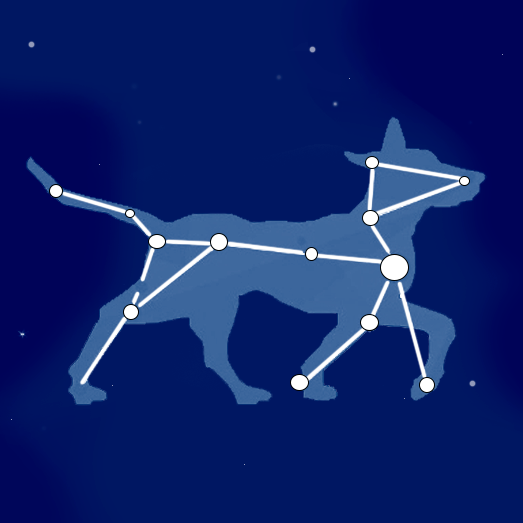 Большой Пёс